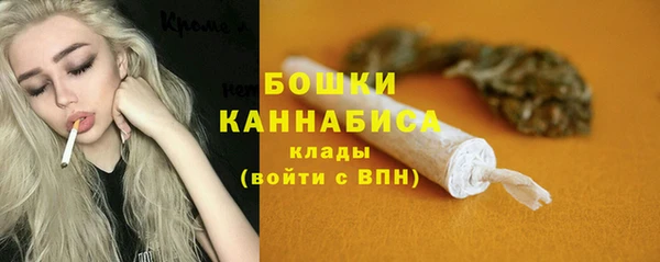 дмт Арсеньев