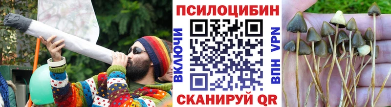 Псилоцибиновые грибы прущие грибы  Бакал 